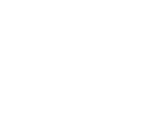 Chimpanzee2